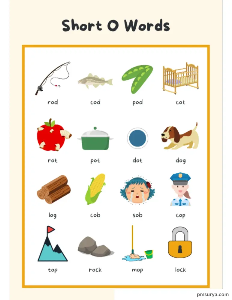 07.webp