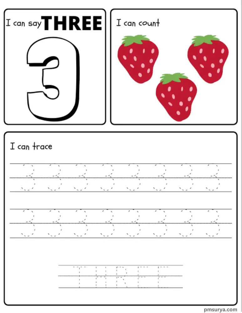 08.webp